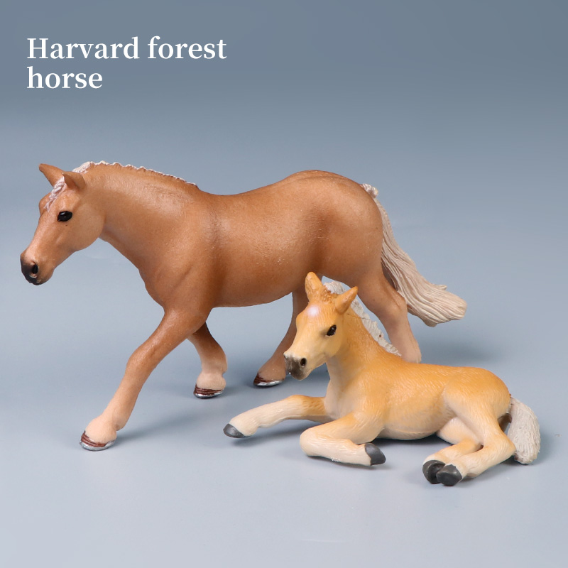 โมเดลม้ามีปีก แอคชั่นฟิกเกอร์  - Model Kit Horse บทวิจารณ์และราคา