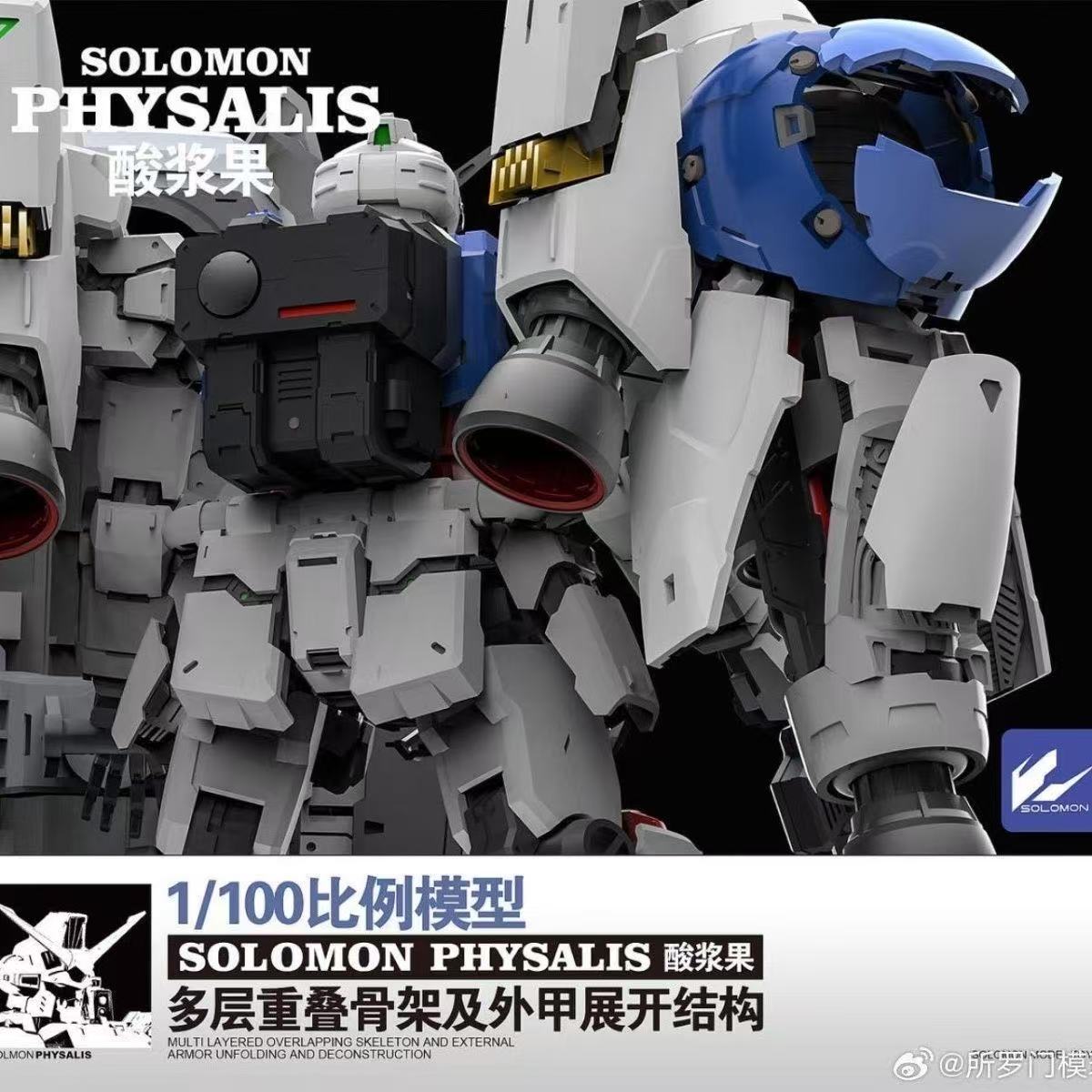 สินค้าพร้อมส่ง SOLOMON PHYSALI - Model Kit Lynx บทวิจารณ์และราคา