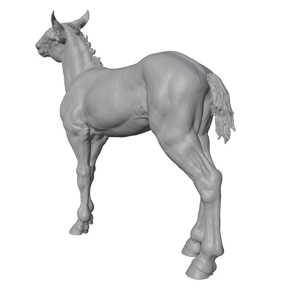 งานพิมพ์ที่มีรายละเอียดสูง, รู - Model Kit Horse บทวิจารณ์และราคา