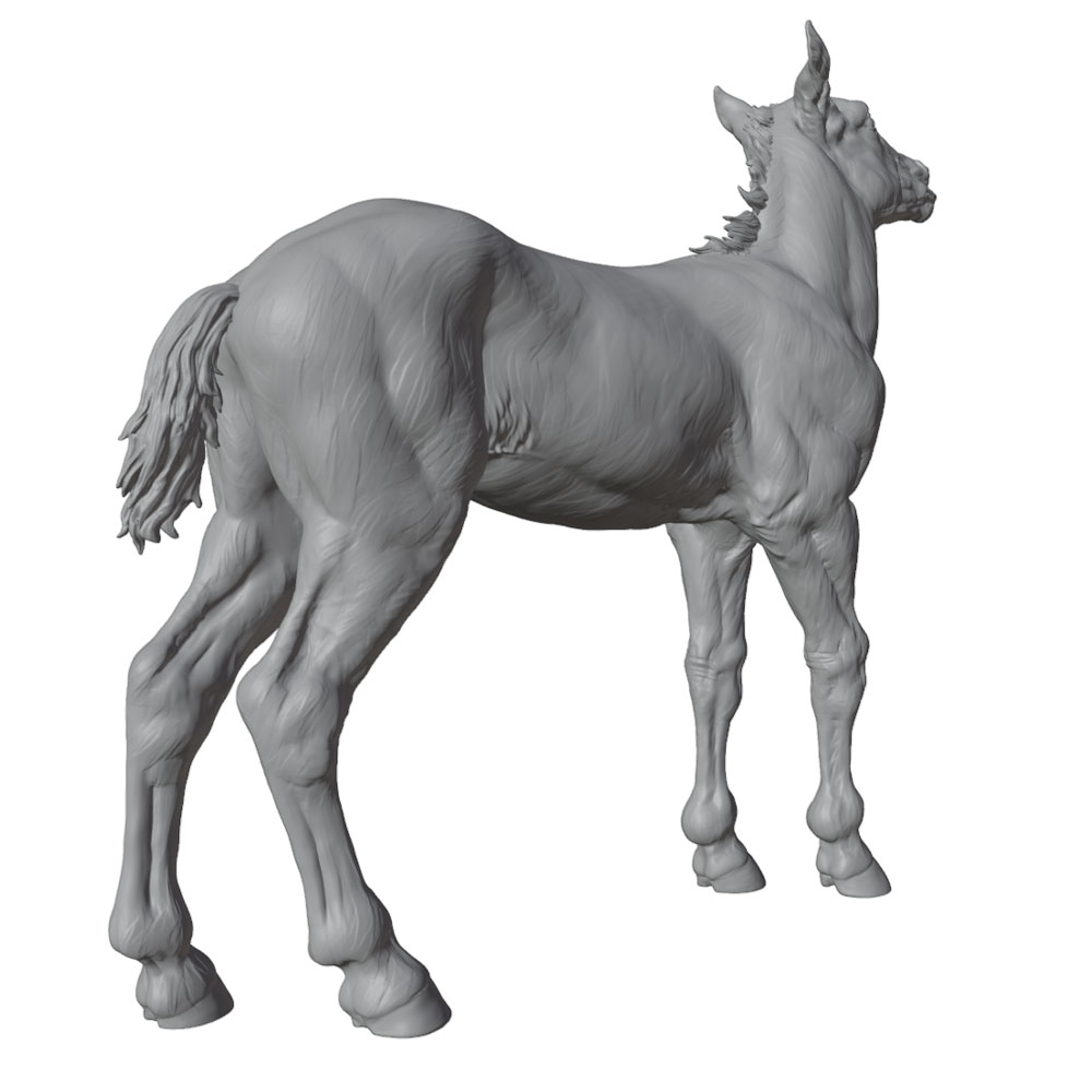 งานพิมพ์ที่มีรายละเอียดสูง, รู - Model Kit Horse บทวิจารณ์และราคา