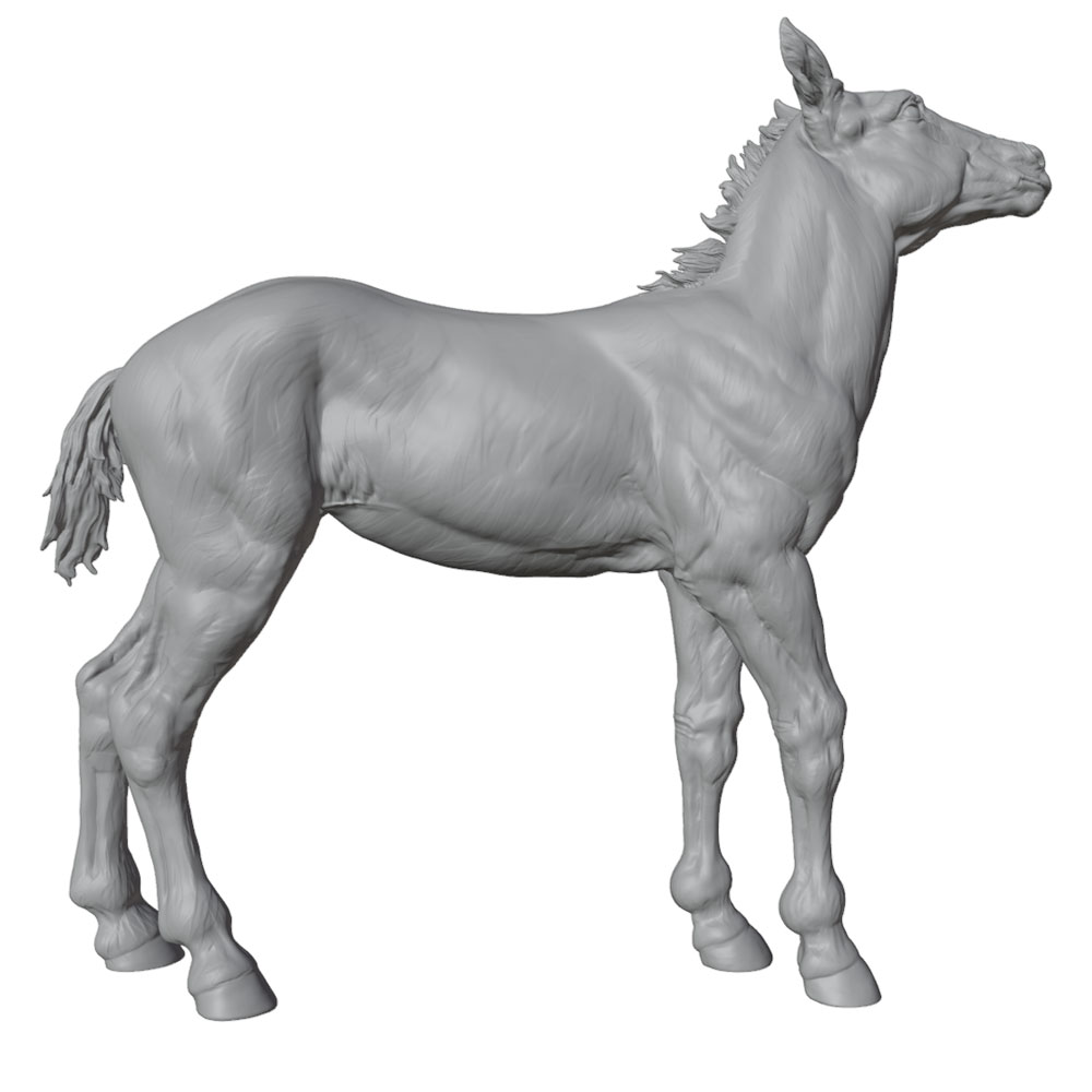 งานพิมพ์ที่มีรายละเอียดสูง, รู - Model Kit Horse บทวิจารณ์และราคา