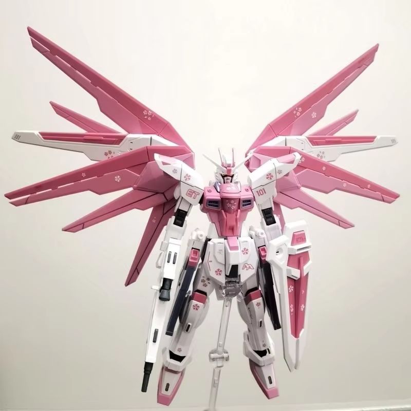 JMS HG 1/144 ZY-06 Freedom Ass - Model Kit Daban บทวิจารณ์และราคา